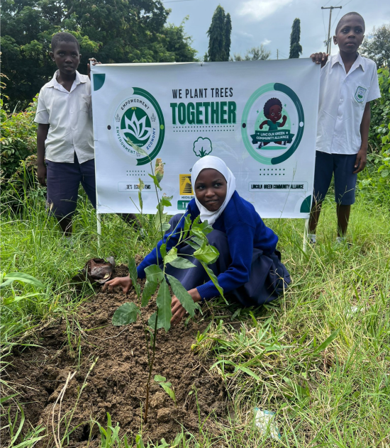 Tree planting initiatives